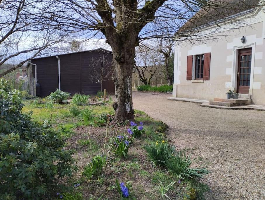 La Jolie Ruche Villa Saint-Georges-sur-Cher Buitenkant foto
